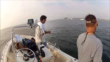 NJ Go Pro Bucktailing Fluke 7-712
